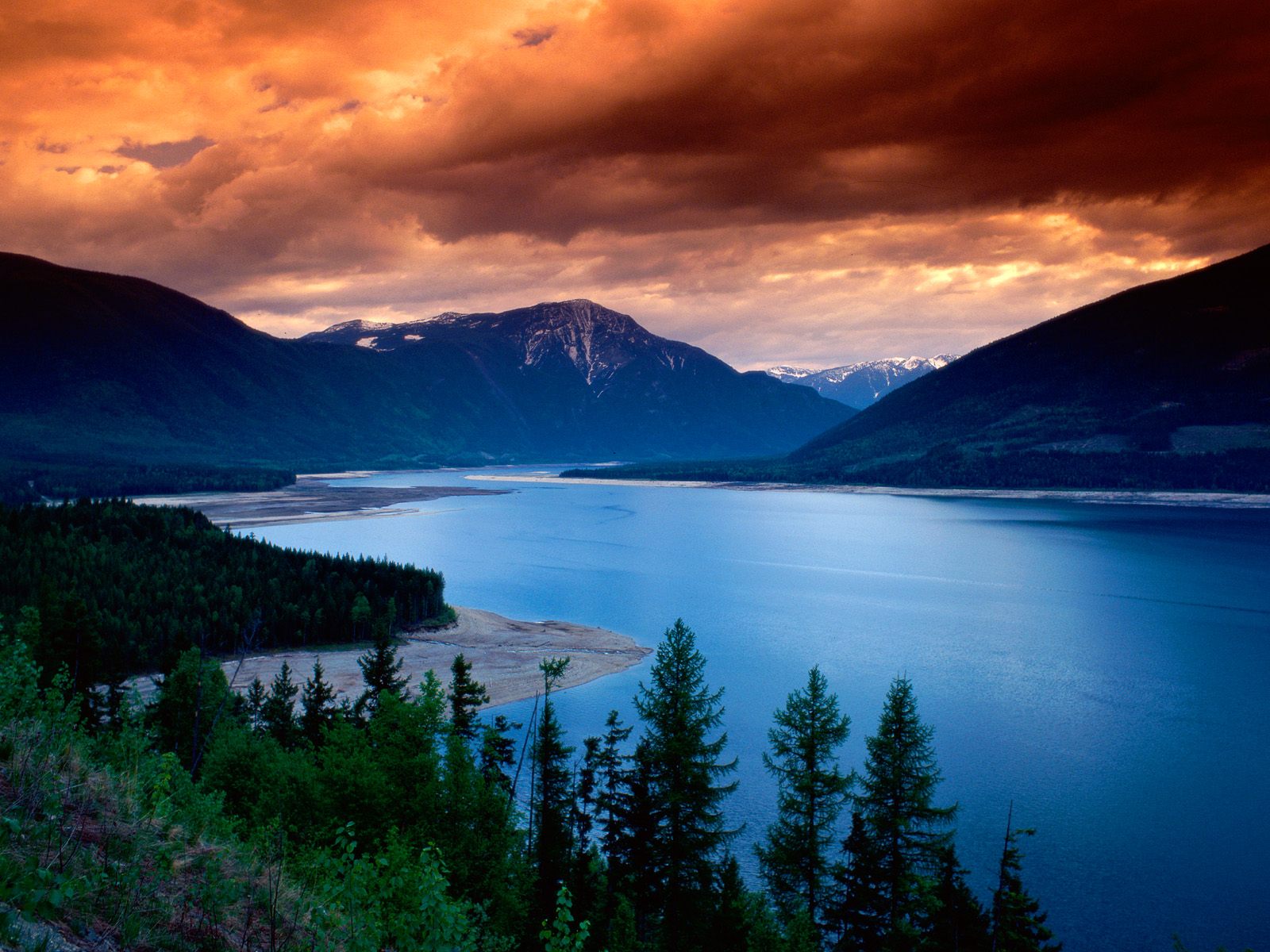 Nature (53).jpg